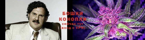 амф Заводоуковск