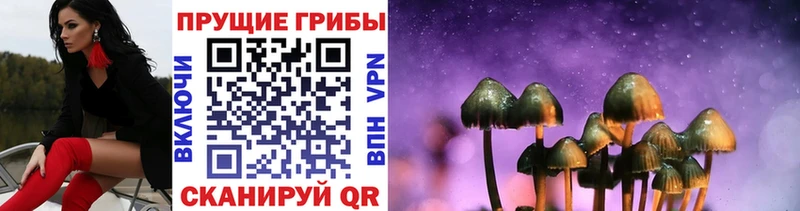 Купить Игра Галлюциногенные грибы мухоморы
